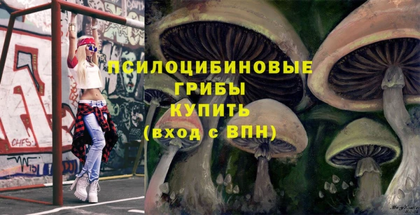 соль ск Приозерск