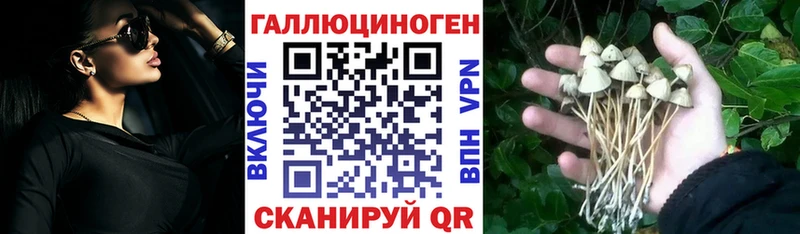 Галлюциногенные грибы Psilocybine cubensis  Шали 